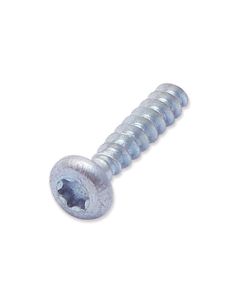 WP-T5/019 - Screw self tapping 4 x 20 T5