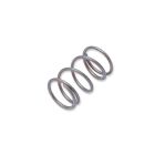 WP-T4/058 - Spring for revolving Turret T4